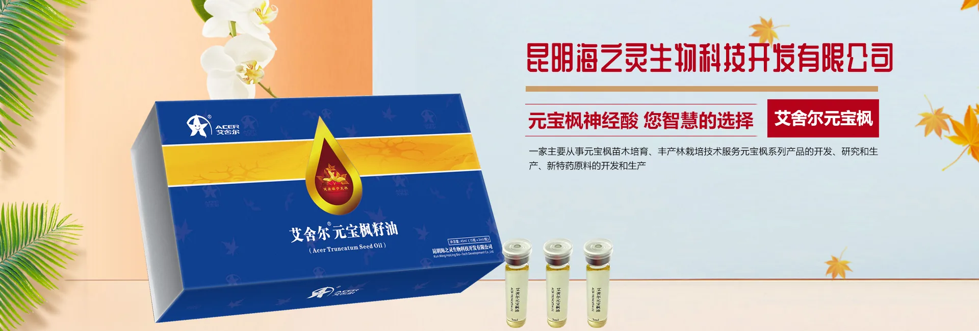 艾舍尔元宝枫籽油