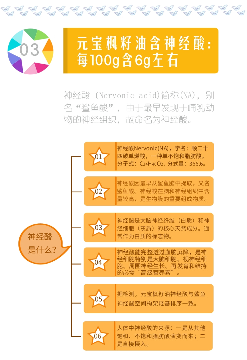 元宝枫籽油软胶囊 特点 3